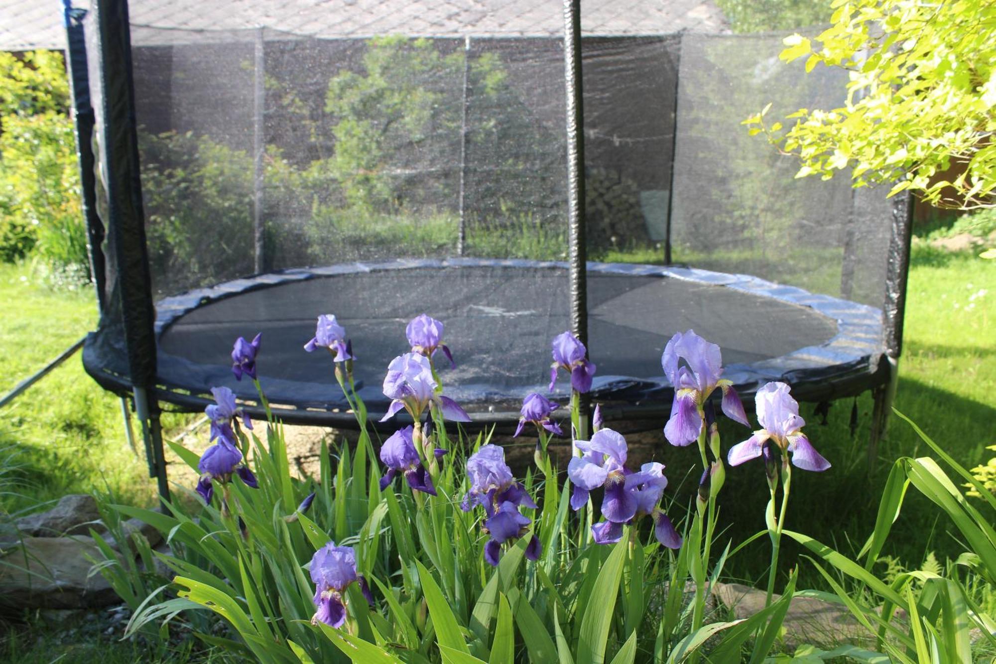 Chalet Z Jacuzzi *