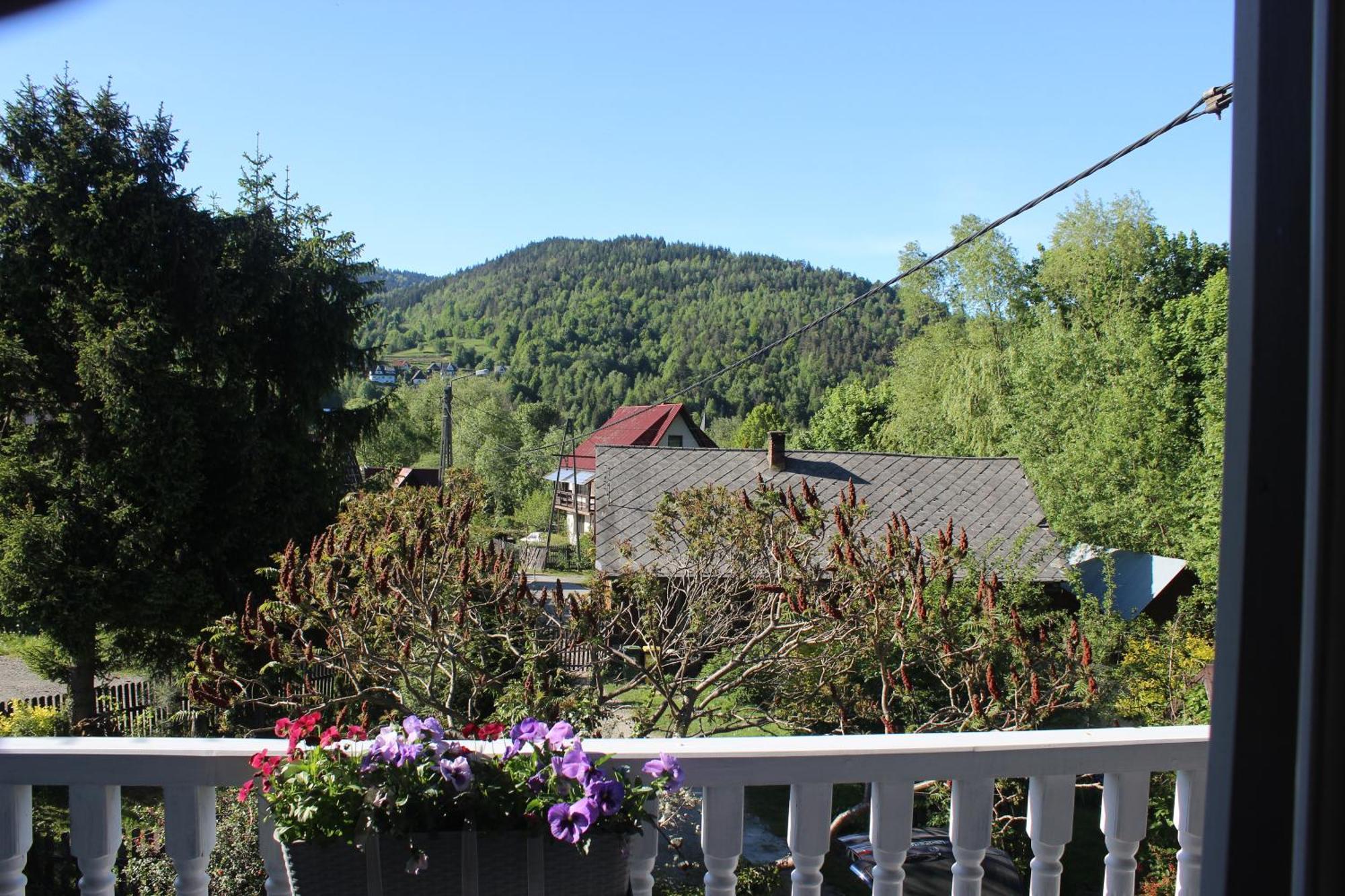 Chalet Z Jacuzzi Zawoja